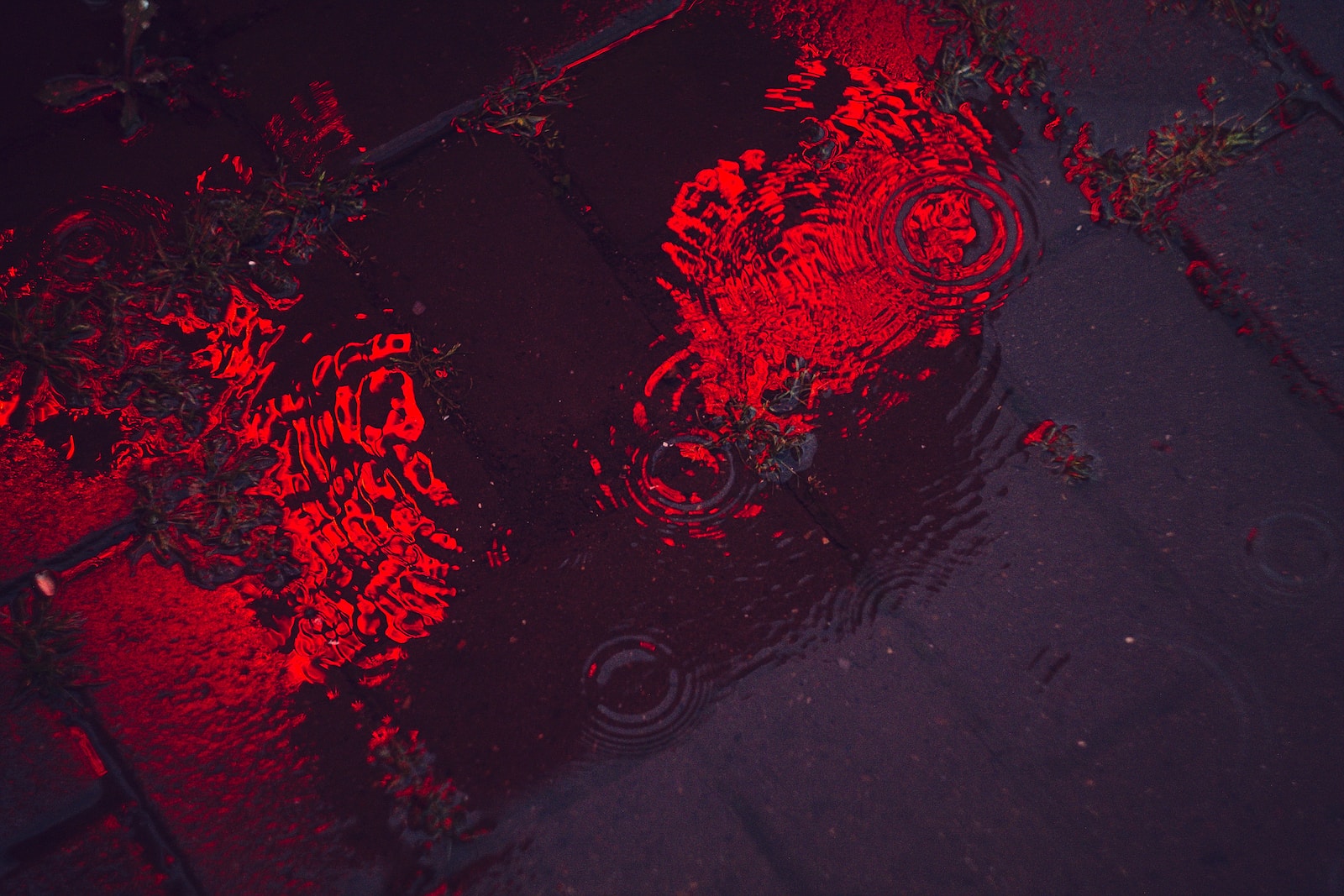 a reflection of a bike in a puddle of water